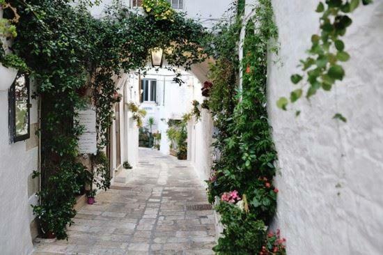 Attico Ostuni Apartman Kültér fotó